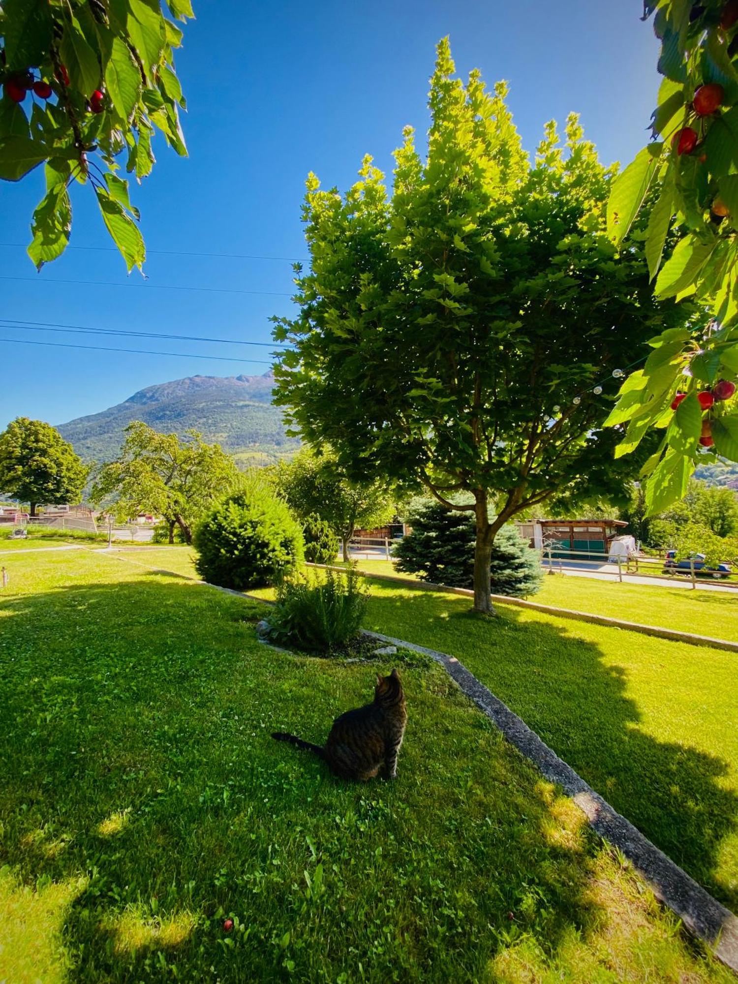 La Casetta Di Francio & Marta Aosta Bagian luar foto