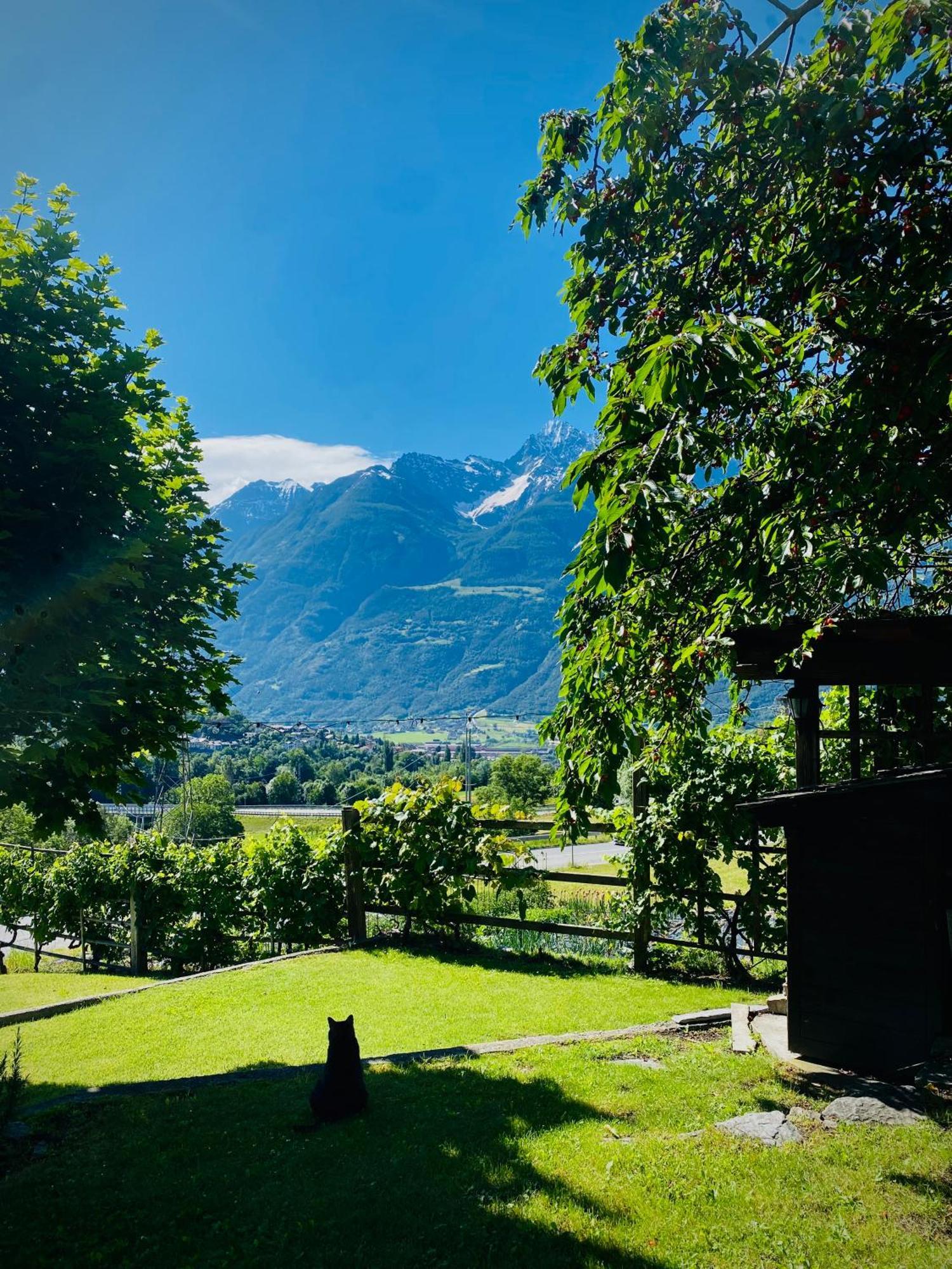 La Casetta Di Francio & Marta Aosta Bagian luar foto
